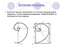Золотая спираль
