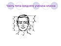 Часть тела среднего ученика класса