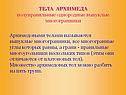 Тела Архимеда