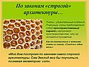 По законам «строгой» архитектуры…