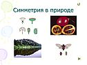 Симметрия в природе