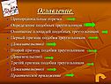 Оглавление
