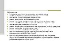 Понятия углов