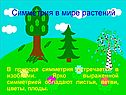 «Осевая и центральная симметрия» геометрия