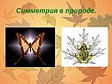 Симметрия в природе