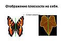 Отображение плоскости на себя