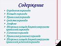 Содержание