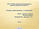 МОУ «ООШ с.Никольское Духовницкого района Саратовской области» Площадь