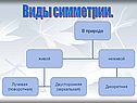 Виды симметрии