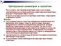 Центральная симметрия в зоологии