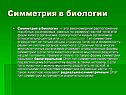 Симметрия в биологии