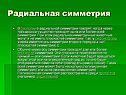 Радиальная симметрия