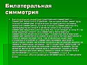 Билатеральная симметрия