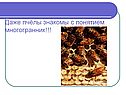 Пчёлы