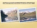 Зеркальная симметрия в природе