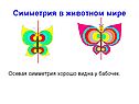 Симметрия в мире