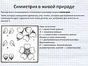 Симметрия в живой природе