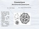 Симметрия