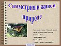 Симметрия в живой природе