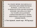Мир растений