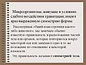 Микроорганизмы