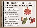 Симметрия в живой природе