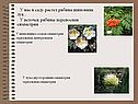 Переносная симметрия