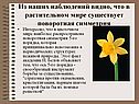 Поворотная симметрия