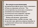 Билатеральная симметрия