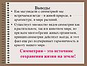 Источник сохранения жизни