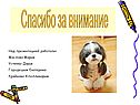 Устенко Дарья