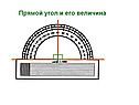 Прямой угол и его величина