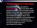 Коллинеарные векторы