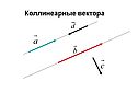 Коллинеарные вектора