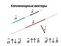 Коллинеарные векторы