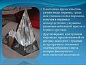 Вопросы по многогранникам