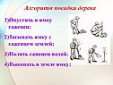 Алгоритм посадки дерева