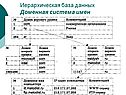 Иерархическая база данных