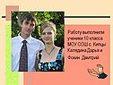 Работу выполнили ученики 10 класса МОУ СОШ с. Кипцы Калядина Дарья и