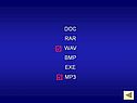 DOC RAR WAV BMP EXE MP3