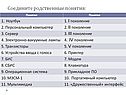 Соедините родственные понятия