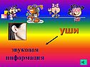 Уши