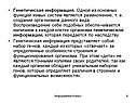 Генетическая информация