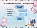 Как компьютер работает с информацией