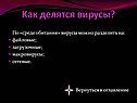 Как делятся вирусы