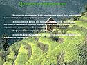 Ценность информации