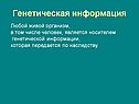 Генетическая информация