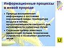Информационные процессы в живой природе