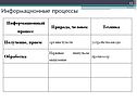 Органы чувств