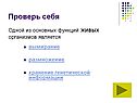 Проверь себя